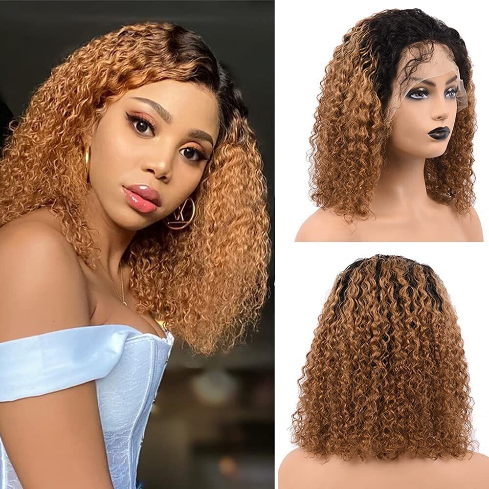 Ariel Lace Front Two-Toned Curly Wig