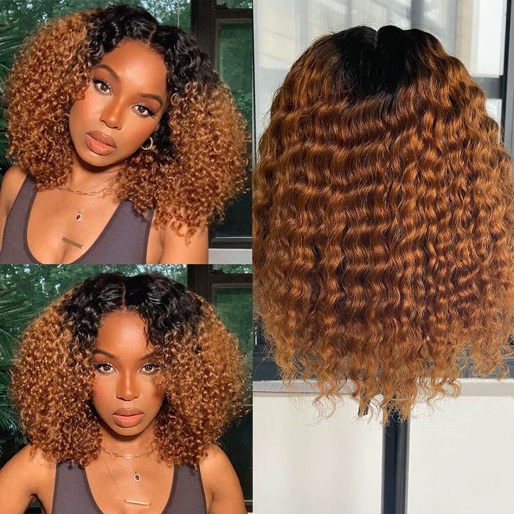 Ariel Lace Front Two-Toned Curly Wig