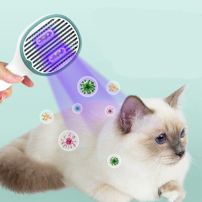 Anti Bacterial USB Rechargeable Pet Comb