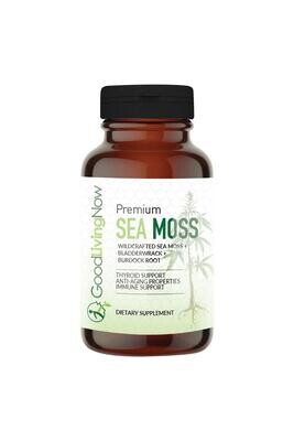 Sea Moss (Wildcrafted), Bladderwrack &amp; Burdock Root Wholesale