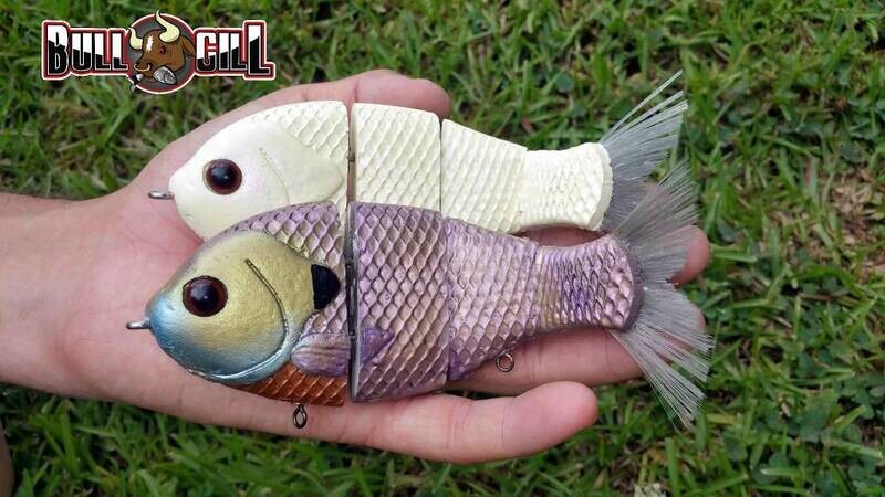 Bull Gill