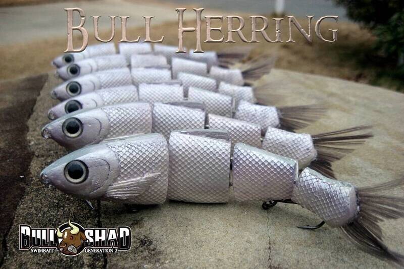 Bull Herring
