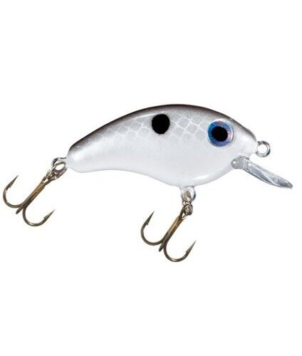 Bitsy Minnow
