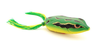 Bronzeye King Daddy 90