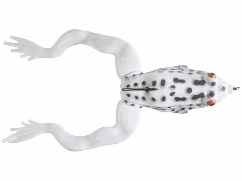 3D Frog hollow body