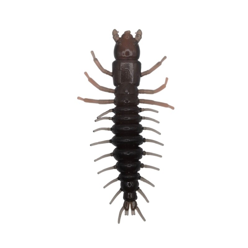 Hellgrammite