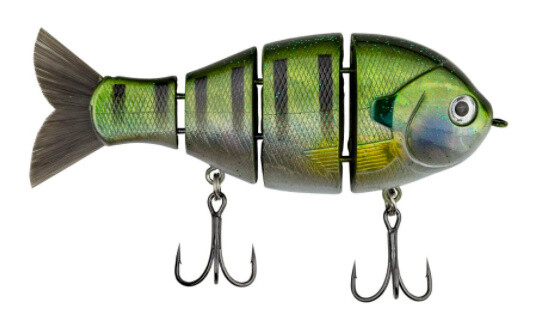 Mike Bucca&#39;s Baby Bull Gill