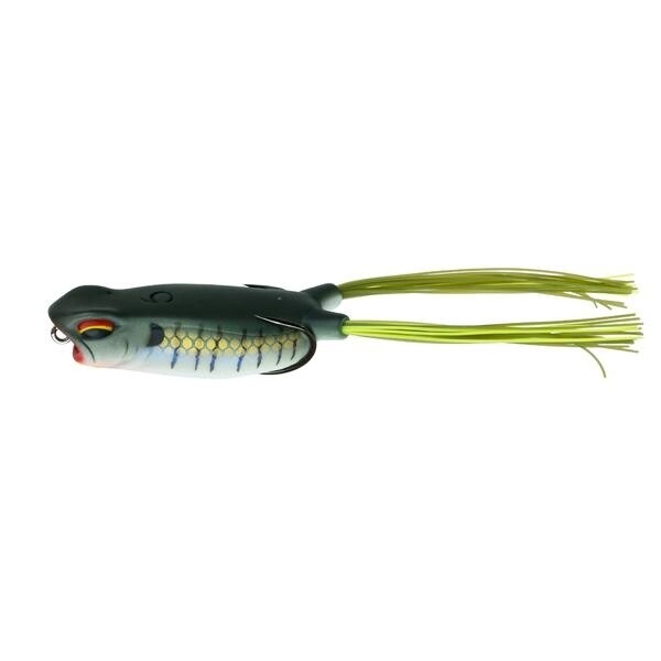 Vega Frog
