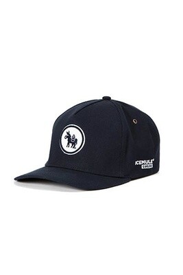 Midnight Logo Hat