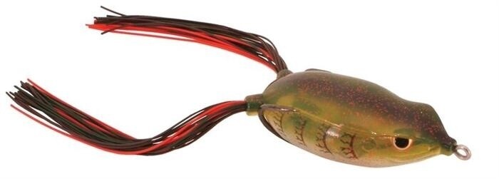 Bronzeye Frog 65, Color: Watermelon Red, Size: 65