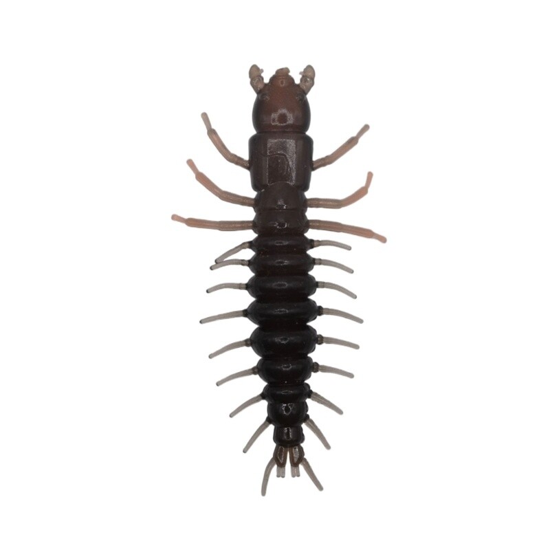 Hellgrammite, Color: Natural, Size: 3&quot;