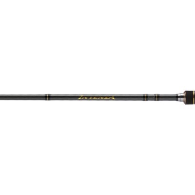 INTENZA CASTING A