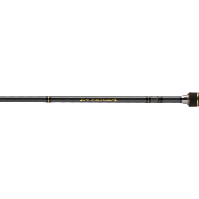 INTENZA CASTING A