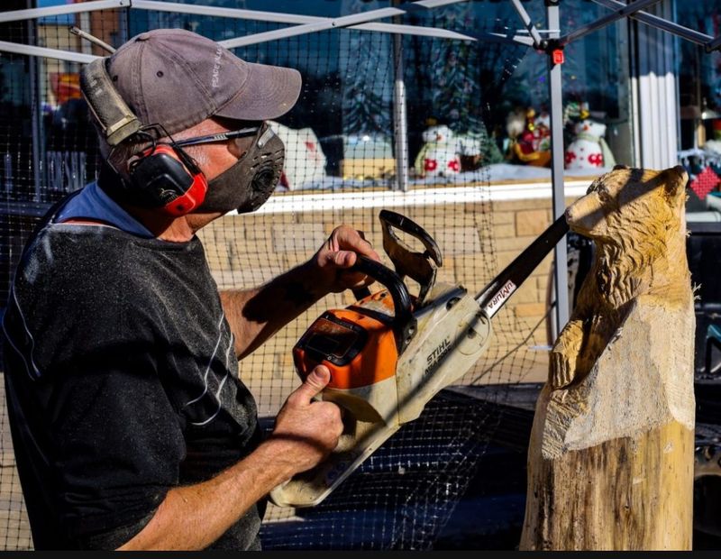 Carving Bars &amp; Chains