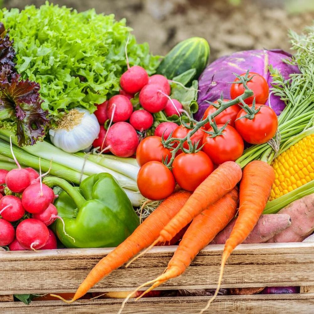 Bi-Weekly Farm CSA Subscription - Pay Up-Front & SAVE Bi-Weekly Farm CSA Subscription - Pay Up-Front & SAVE