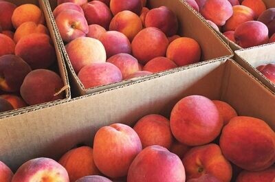 Peaches - Natural Local Peaches - Half Bushel Box Peaches - Natural Local Peaches - Half Bushel Box