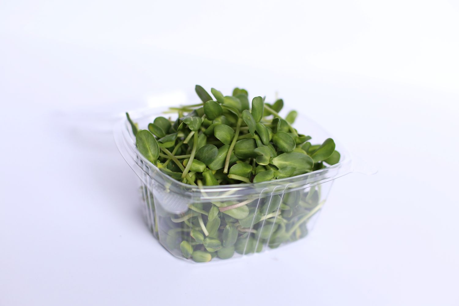 Microgreen Sunflowers Only - Single Order