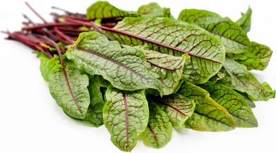 Swiss Chard Swiss Chard