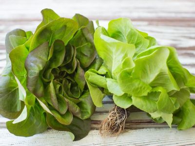 Lettuce Blend (Red Leaf Buttercrunch and Romaine)
