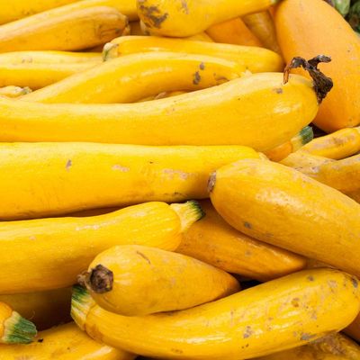 Summer Squash - Yellow Summer Squash - Yellow