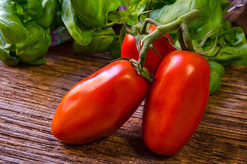 Tomato - Roma 2 lb container