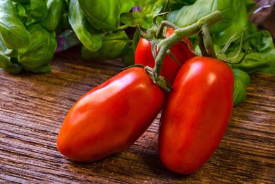 Tomato - Roma 2 lb container Tomato - Roma 2 lb container