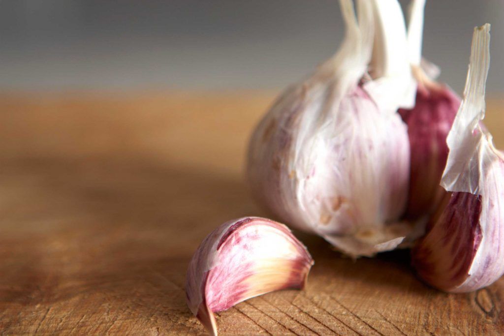 Garlic - Hardneck Garlic - Hardneck