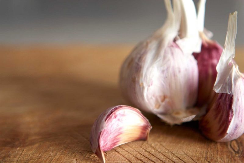 Garlic - Hardneck
