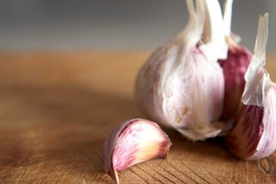 Garlic - Hardneck Garlic - Hardneck