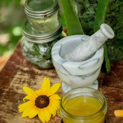 Salves - Mix and Match for Bulk Pricing Salves - Mix and Match for Bulk Pricing