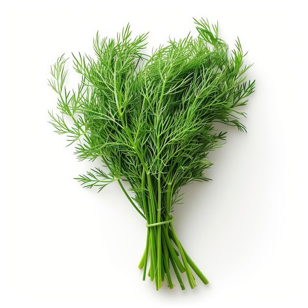 Dill