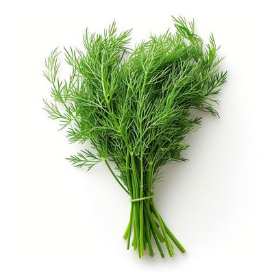 Dill
