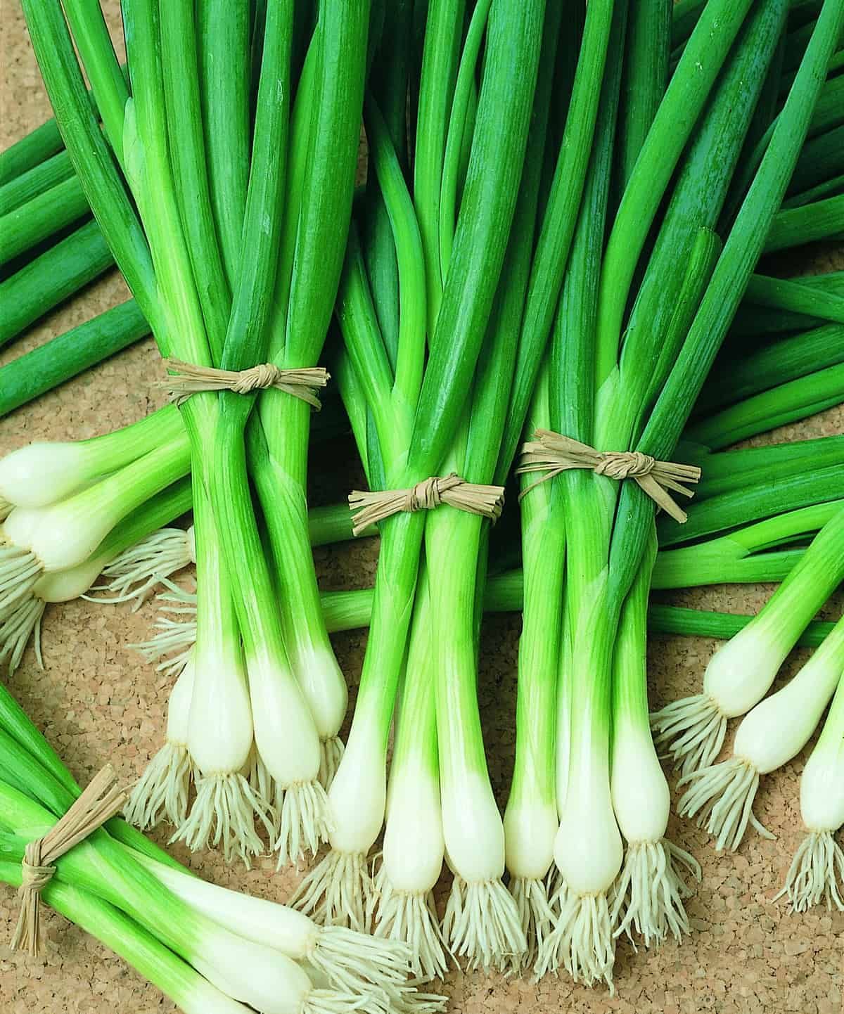Bunching Onions Bunching Onions