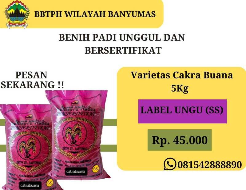 Benih Padi Varietas Cakrabuana BP