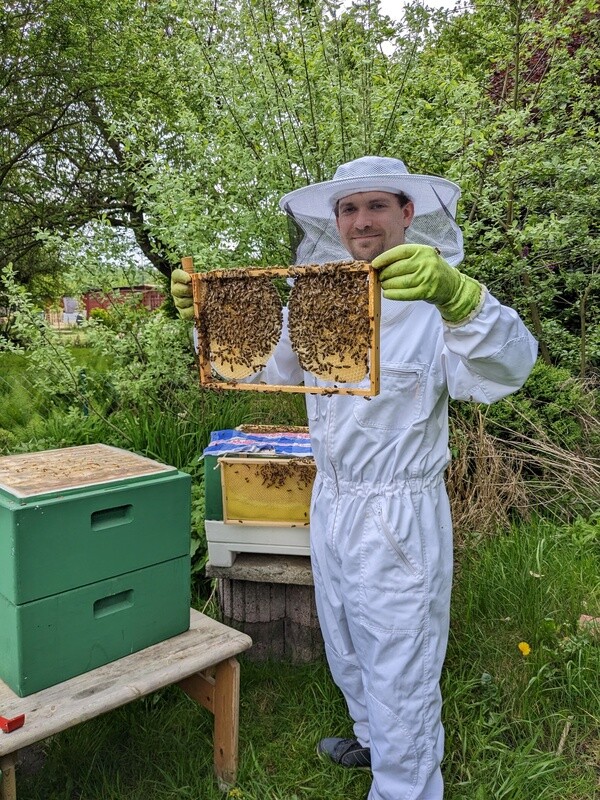 Miete ein Bienenvolk - kostenlose Erstberatung!