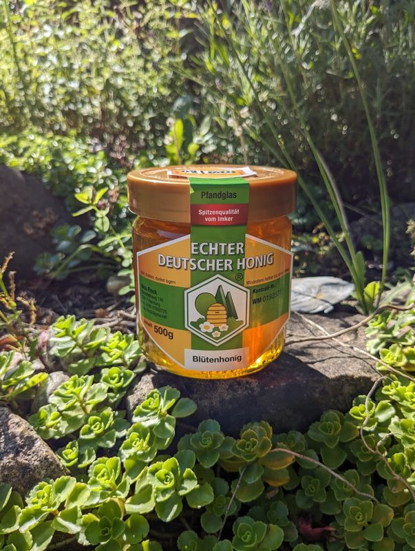 Blütenhonig Sommer 2024, flüssig, 500g Glas