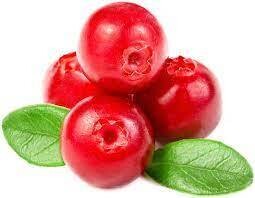 LITCHI EN INFUSETTE