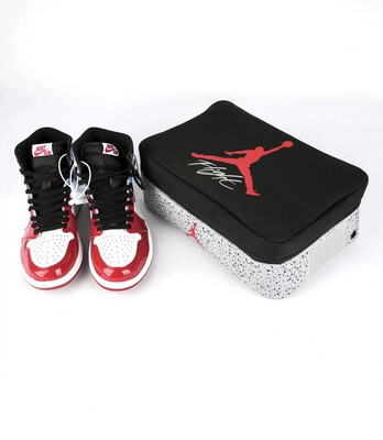 Air Jordan Shoe Box Bag