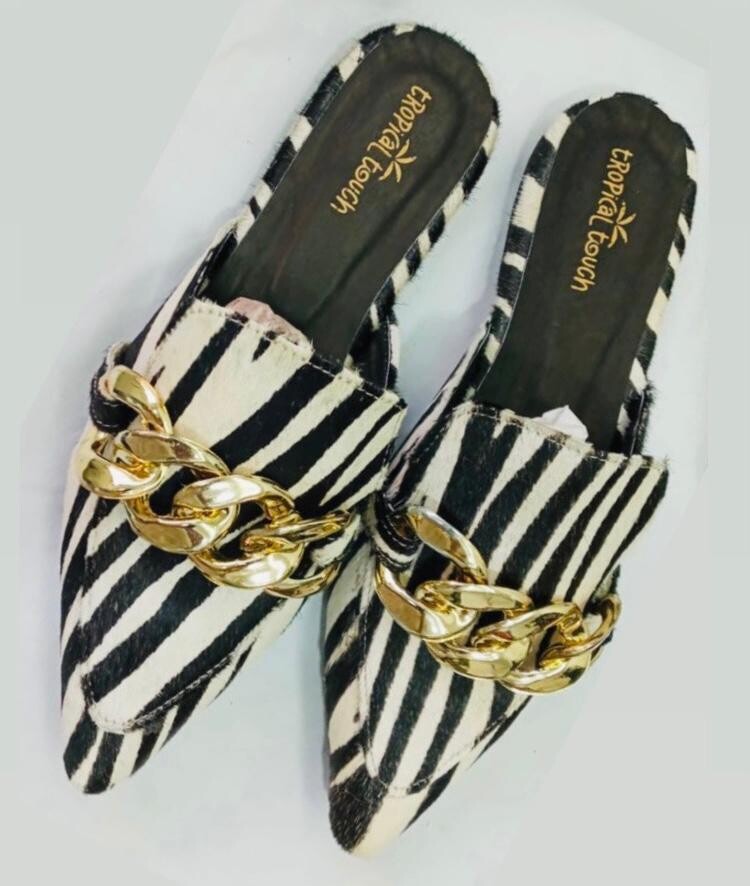 Savannah Zebra