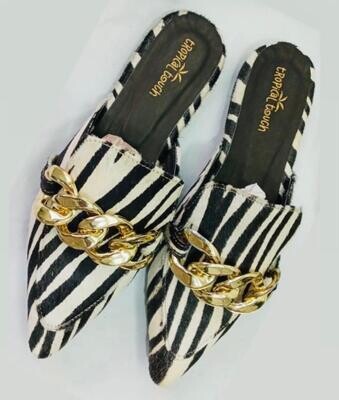 Savannah Zebra