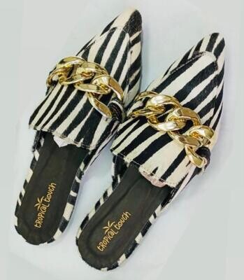Savannah Zebra
