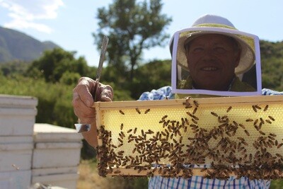 California Honey Company