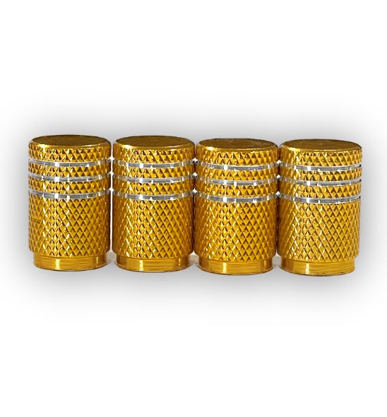 CTM MUSCLE COLOURED ALUMINIUM VALVE CAP - SET 4