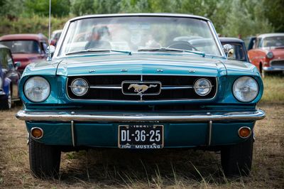 FORD EARLY MUSTANG