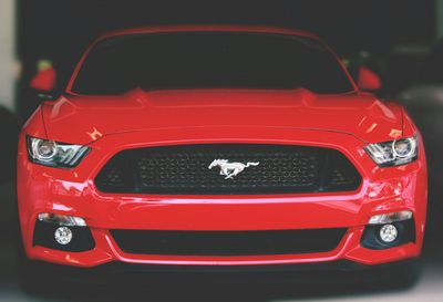 LATE MODEL MUSTANG