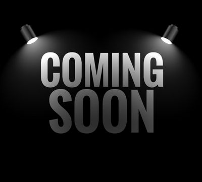 PERFORMANCE ALLOY TX1 RAW CAST Size:13x5 PCD:5/108 ET:12P (EARLY HOLDEN HUBS)