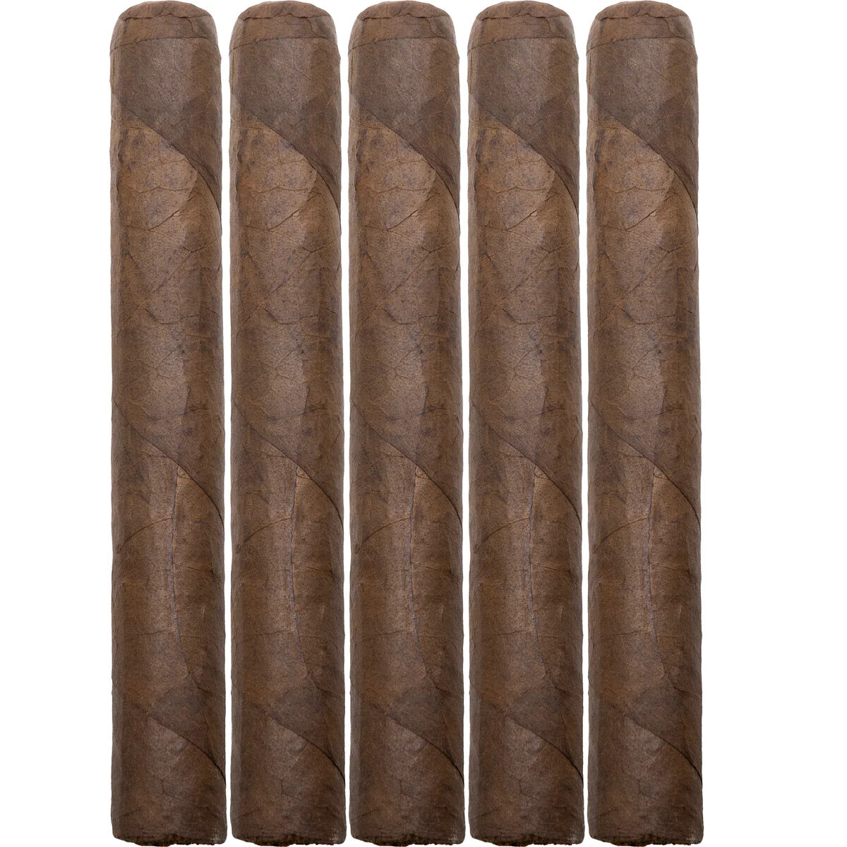 TL Exclusive 5pk Natural