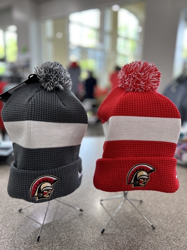 Nike Team Pom Beanie 21NKTPB