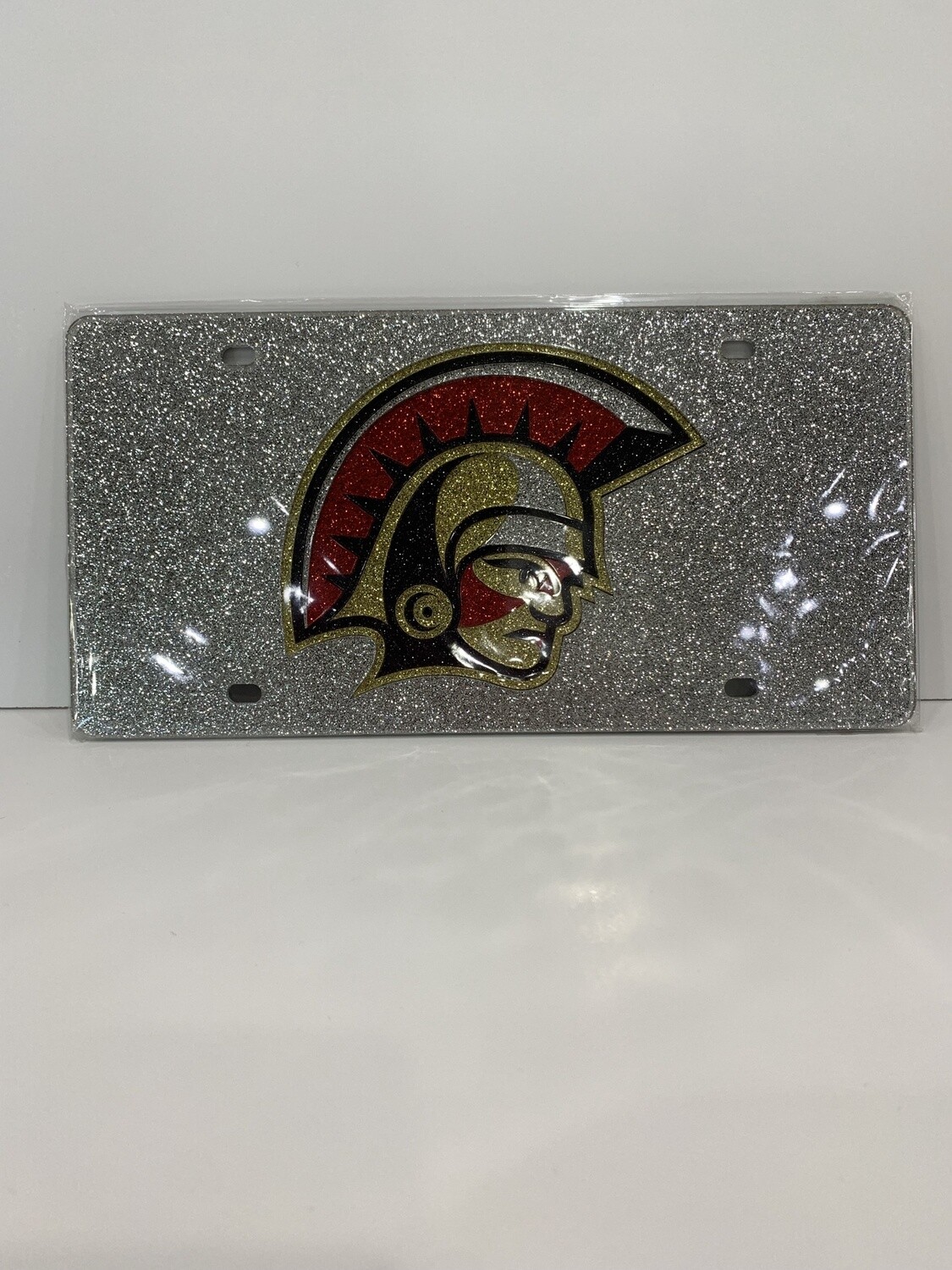 License Plate Glitter Head 16SDLP