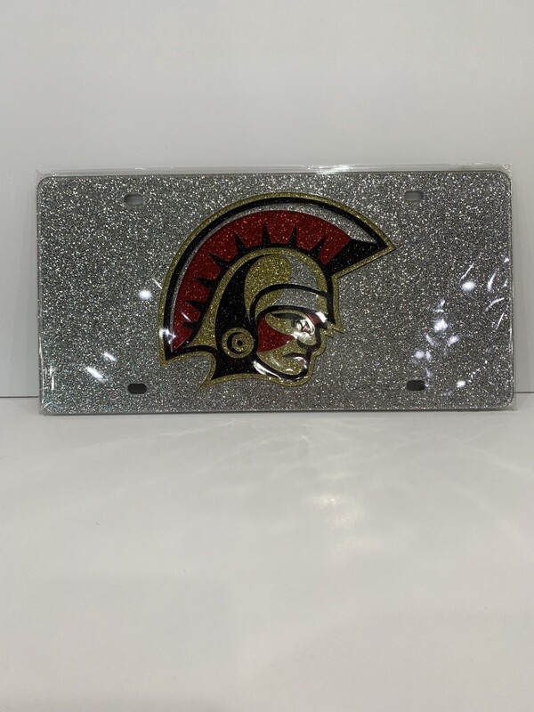 License Plate Glitter Head 16SDLP
